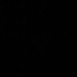 Meet your Posher, Sophia